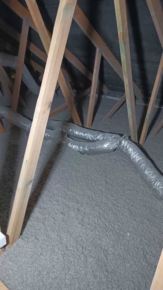 Izolacje Kamieńsk - Purillo